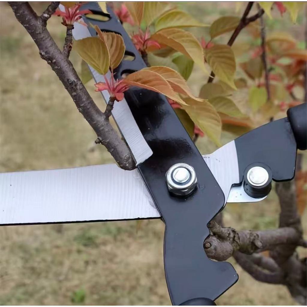 กรรไกรตัดแต่งกิ่งไม้ด้ามยาว/กรรไกรตัดหญ้า ใบมีดตรง สำหรับตัดแต่งกิ่งไม้ขนาดยาว ทำจากเหล็กเคลือบยาง - รูปที่ 5