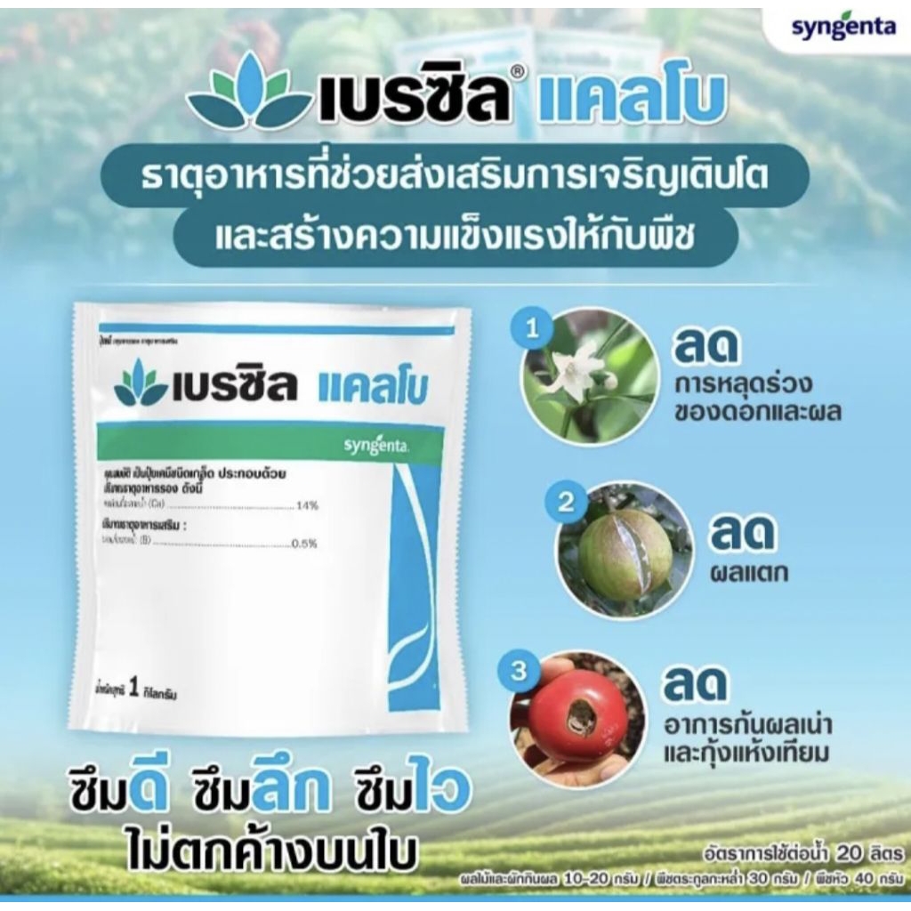 เบรซิล แคลโบ (1 กก. ใช้ได้ 20 ไร่)
มีธาตุอาหารที่ช่วยส่งเสริมการเจริญเติบโตและการออกดอกและกระตุ้นตาดอก

