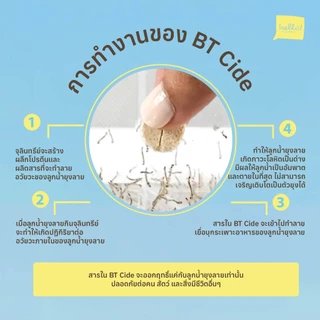 BTcide จุลินทรีย์กำจัดลูกน้ำยุงลาย ไร้สารเคมี ใส่ในน้ำที่มีลูกน้ำยุงลาย แหล่งเพาะพันธุ์ยุงลาย ช่วยลดจำนวนยุง