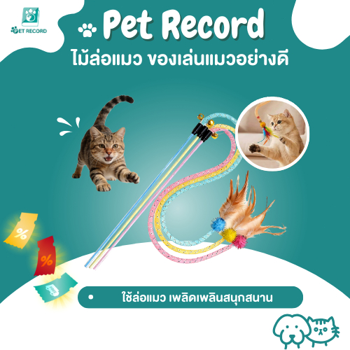 ไม้ตกแมว [Pet Record] รูปผีเสื้อ+กระดิ่งกรุ๊งกริ๊ง ของเล่นแมว แก้เบื่อ คลายเครียด (สุ่มสี) 🦋🐱