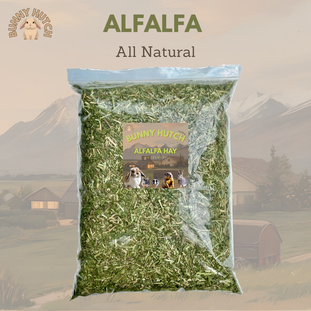 หญ้าอัลฟาฟ่าสับ Alfalfa All Natural ร่อนฝุ่นละเอียด 1 KG