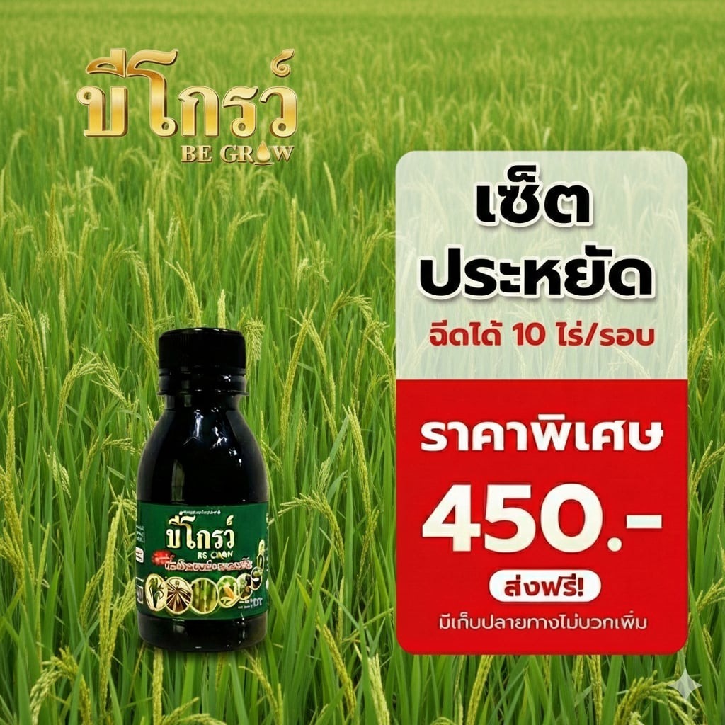 บีโกรว์ X2 สูตรพลังคู่ เร่งการเจริญเติบโต ลดพืชอ่อนแอ เสริมภูมิต้านทานโรคและแมลง