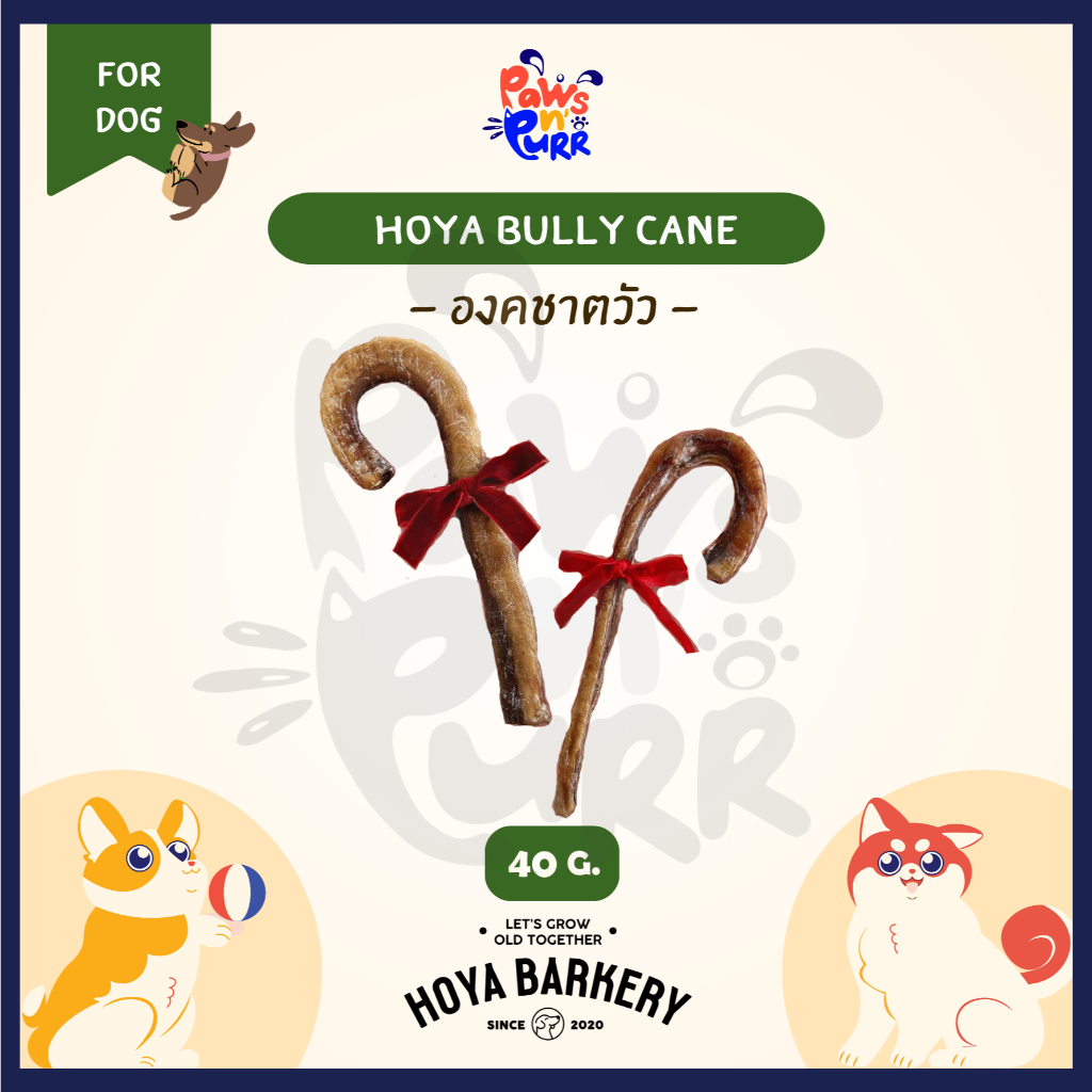 Hoya Barkery Bully Cane (holiday collection) ขนมสำหรับสุนัข องคชาตวัว