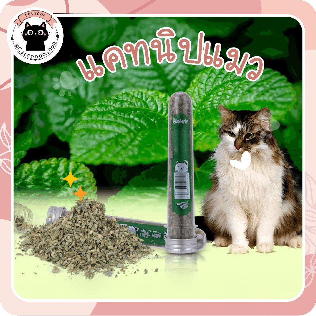 🌵 Catnipหลอด กัญชาแมว ออร์แกนิคแบบหลอด บบผงขนาด 40 ml แคดนิปแมว แคตนิปแมว กัญชาหลอด ปลอดภัย ธรรมชาติ 100%🌵