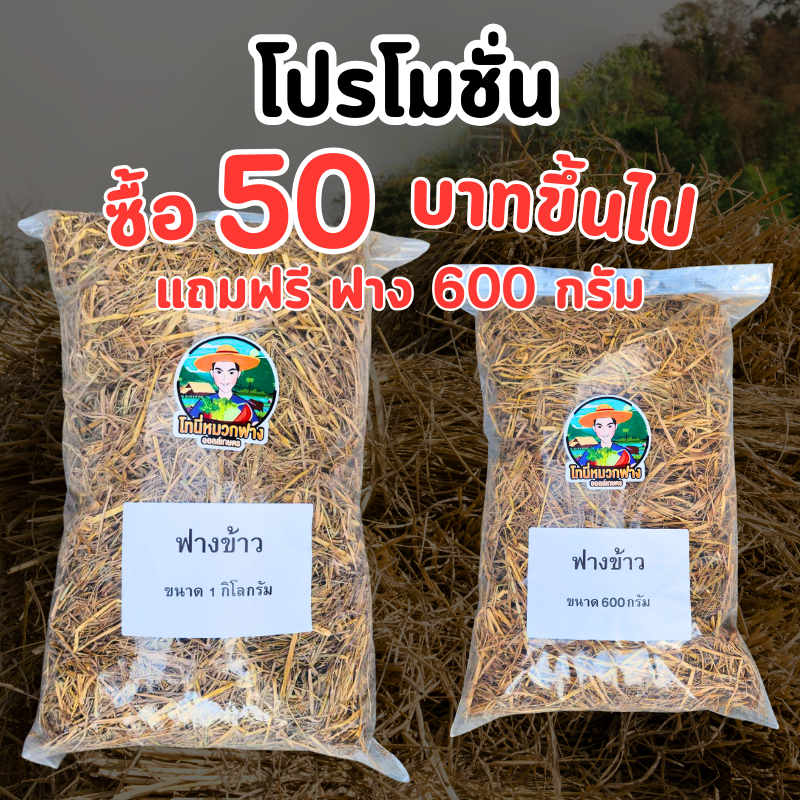 ฟางข้าว ฟางแห้ง ฟางคลุมดิน 1 กิโลกรัม ซื้อ 50 บาทขึ้นไปแถมฟรี ฟาง 600 กรัม 1 ถุง