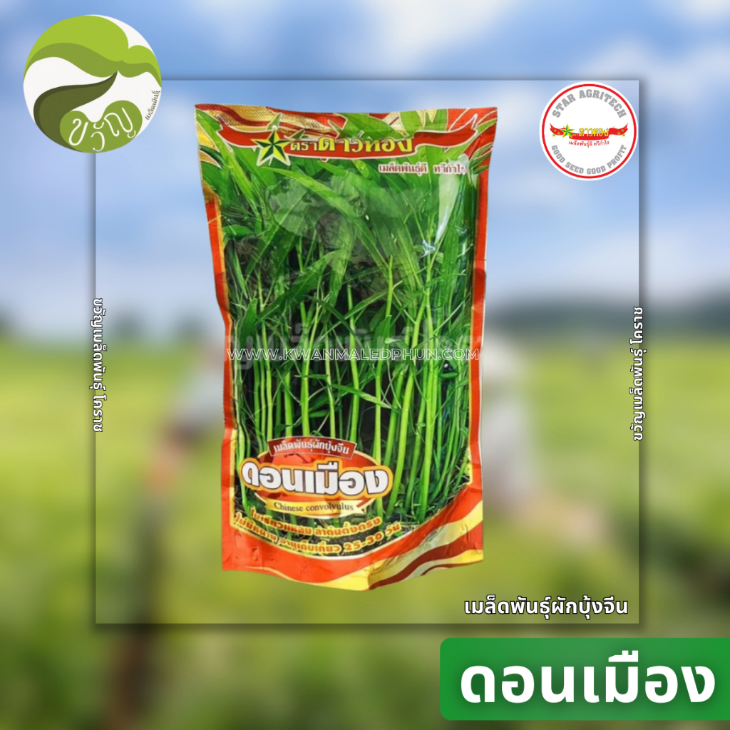 เมล็ดพันธุ์ ผักบุ้งจีน ดอนเมือง ตราดาวทองพันธุ์ใหม่ ทนโรค ขนาด 1 กิโลกรัม
