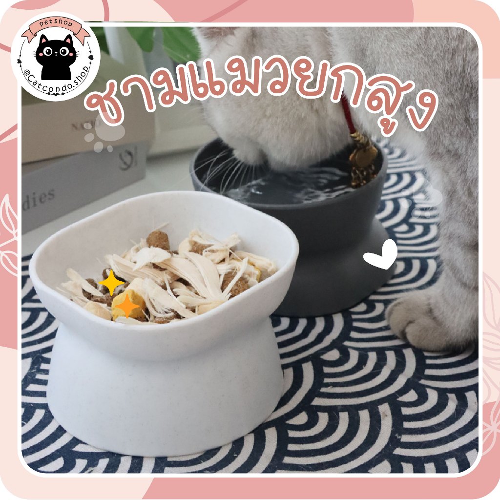 🌵 ชามโมเดิร์น ชามสุนัข มินิมอล ชามอาหารสัตว์เลี้ยง เอียง15องศา ป้องกันกระดูกสันหลัง ใช้ได้2ฝั่ง 🌵