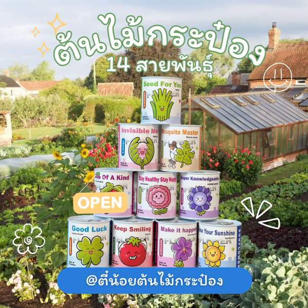 ต้นไม้กระป๋อง ปลูกง่ายแค่เปิดกระป๋อง รดน้ำ รอต้นไม้โตได้เลย แค่เปิดกระป๋อง ก็พร้อมให้ปลูก