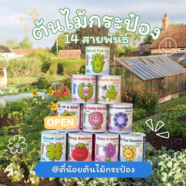 ต้นไม้กระป๋อง ปลูกง่ายแค่เปิดกระป๋อง รดน้ำ รอต้นไม้โตได้เลย แค่เปิดกระป๋อง ก็พร้อมให้ปลูก