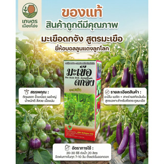 มะเขือดกจัง อะมิโน+สาหร่าย ขนาด1ลิตร ช่วยให้มะเขือเจริญเติบโ…