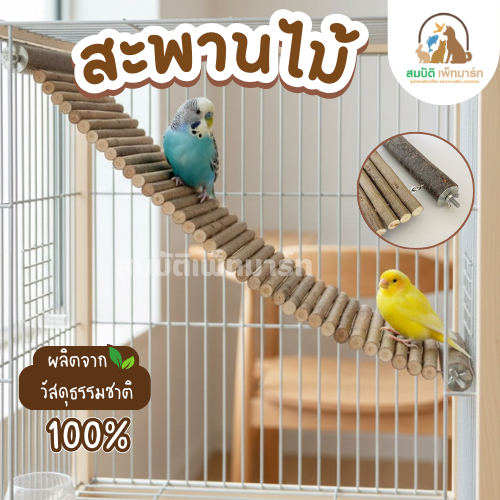 สะพานไม้ให้นก บันไดไม้แขวนกรงนก ของเล่นนก วัสดุธรรมชาติ 100% แข็งแรง ปรับโค้งได้