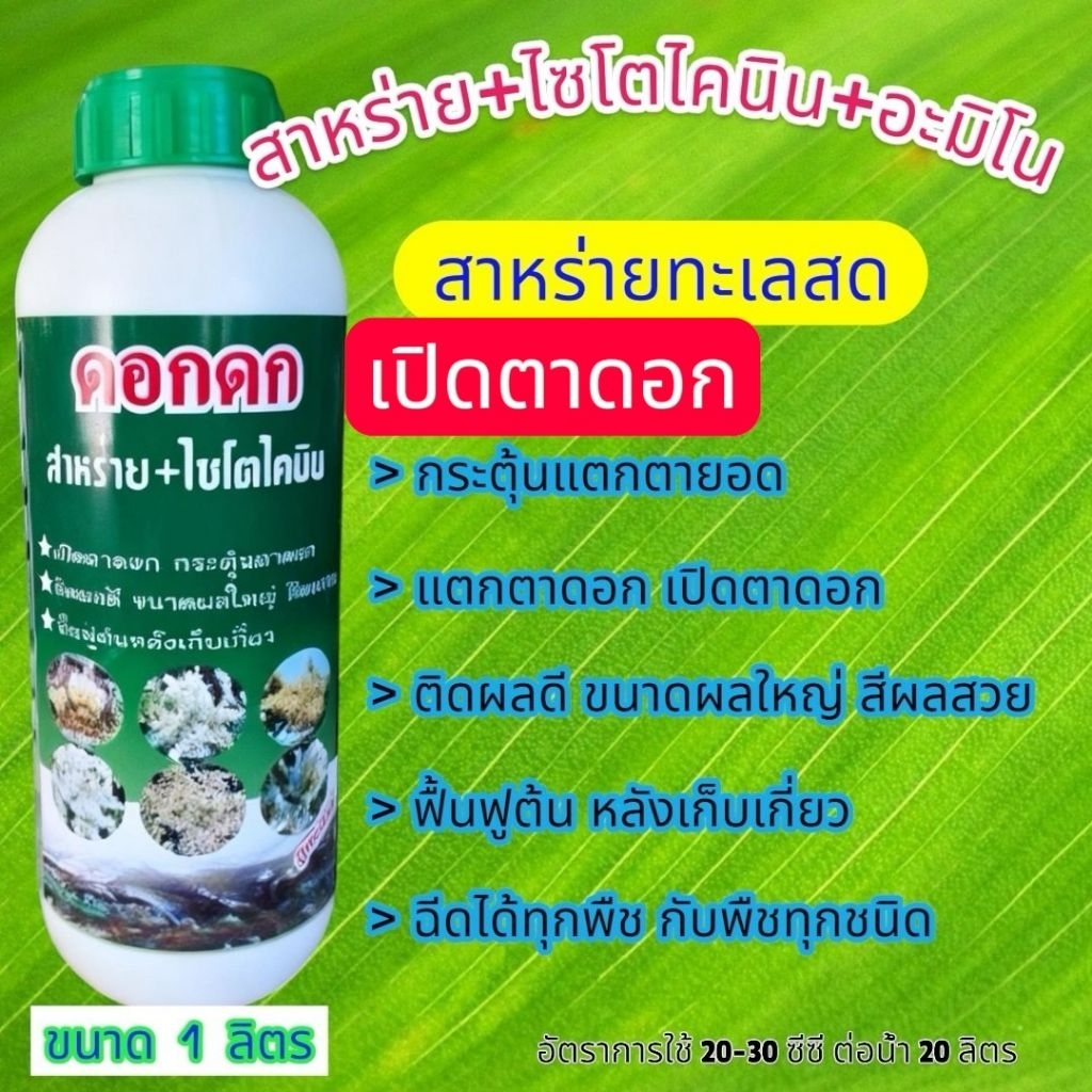 🌺🌲สาหร่ายเขียว🌳+ไซโตไคนิน+อะมิโน  ไซโตไคนินสูงกว่าออกซินกระตุ้นแตกตาข้างได้ดีออกดอกและเปิดตาดอกดกมากๆ
