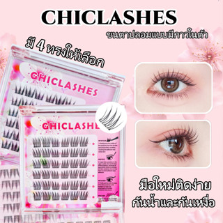 ขนตาปลอมพร้อมกาวในตัว หลายสไตล์ หลายขนาด ขนตาปลอมแบบช่อ ใช้ง…