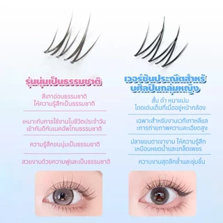 Dreehalo ขนตาไอดอลสไตล์หวานใจ มาพร้อมแถบกาวเจลลี ติดทนนานทั้งวัน เส้นขนชัดเป็นธรรมชาติ ให้ลุคตาโตแบบหน้าสดF309