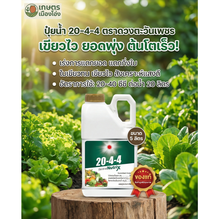 ปุุ๋ยน้ำ นิวทริกซ์ 20-4-4 (แกลลอน 5 ลิตร) บำรุงต้นใบ ฟื้นต้น เร่งแตกใบ แตกยอดอ่อน ดวงตะวันเพชร