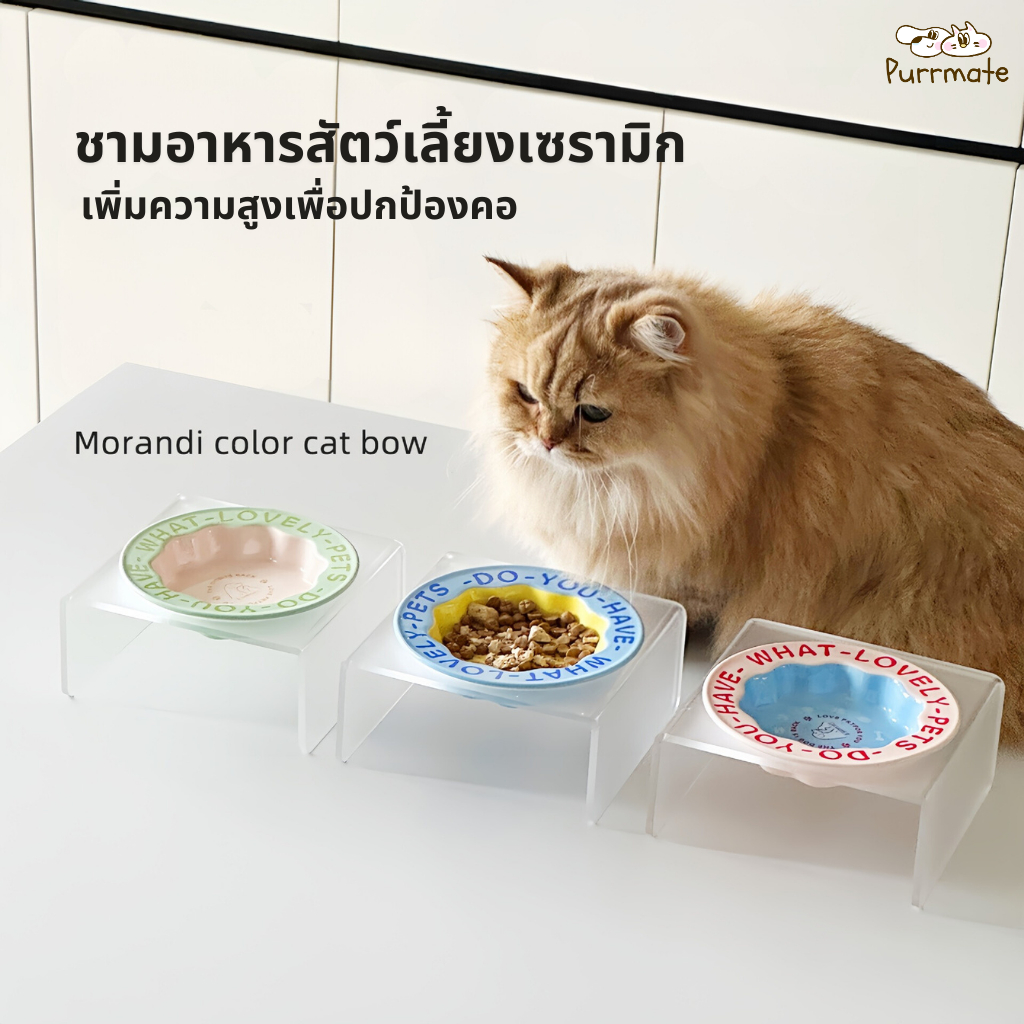 ชามเซรามิกแมว ฐานอะคริลิกยกสูง มีลาย ป้องกันอ้วก แมวอ้วนใช้ได้ [ตัวเลือกแบบ DIY จับคู่เอง ]Ceramic Cat Bowl with Pattern