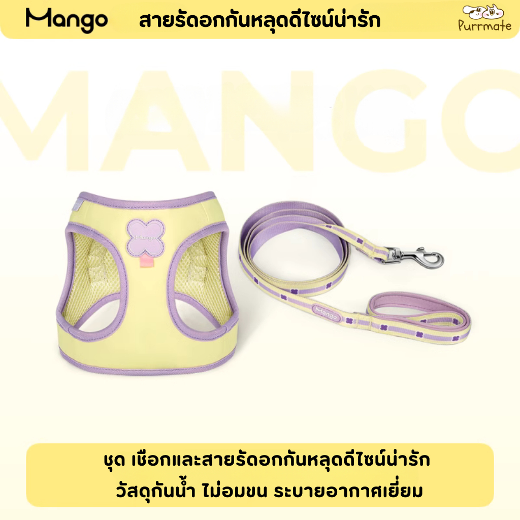 สายจูงสุนัขขนาดเล็กพร้อมเสื้อกั๊ก: เลือกอย่างไรให้ลูกรักเดินสบายตัว
