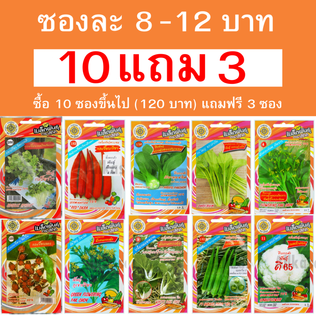 เมล็ดพันธุ์ผักสวนครัวสี่ทิศ ซองละ 12 บาท ซื้อ 10 ซองขึ้นไป (120 บาท) แถมฟรี 3 ซอง