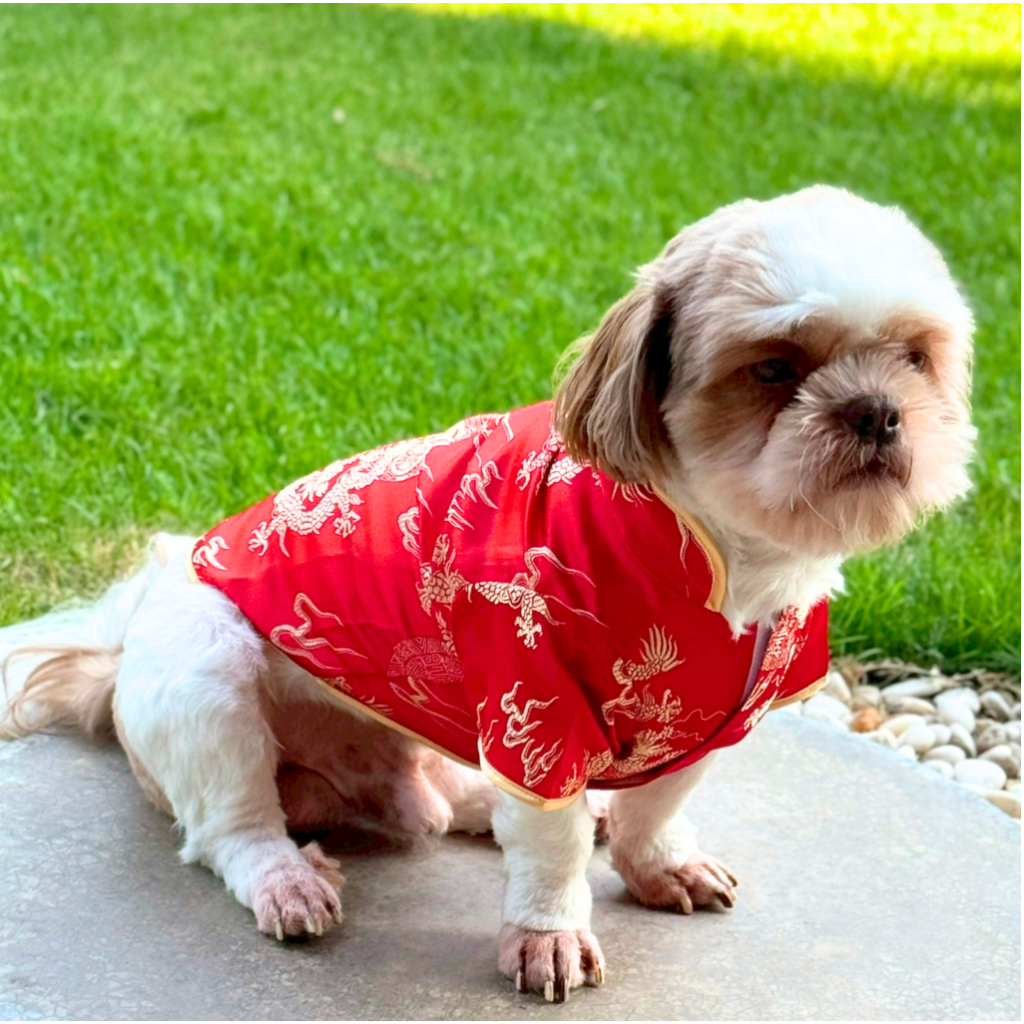 BIG DOG ชุดจีนหมาใหญ่ เสื้อและกระโปรงตรุษจีน  มีผ้าไหมมังกร ผ้าเฟอร์นุ่ม รองรับอก 38 นิ้ว พร้อมส่ง - รูปที่ 7