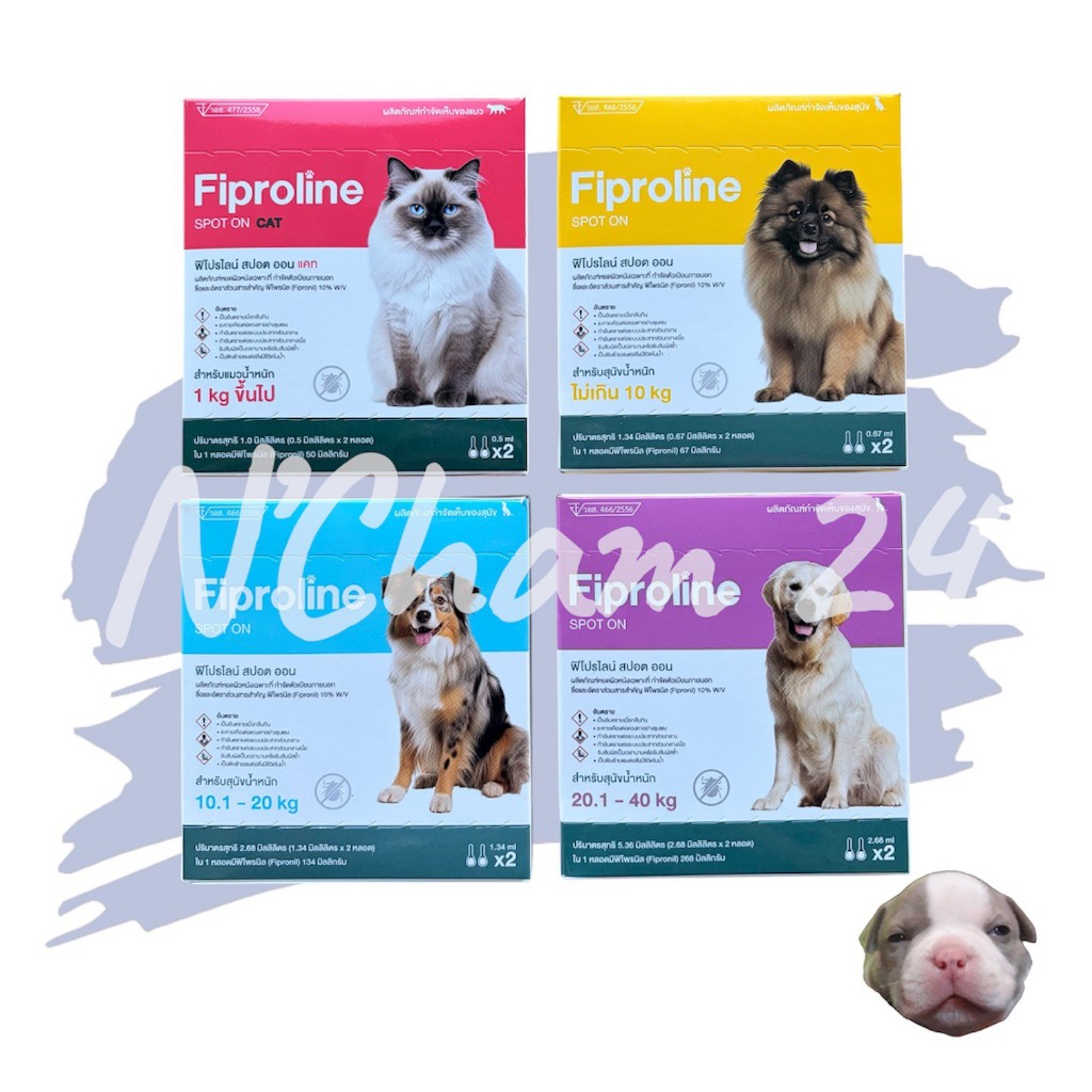 Fiproline Sport on ผลิตภัณฑ์กำจัดเห็บสุนัข และแมว 1 กล่อง บรรจุ 1 หลอด