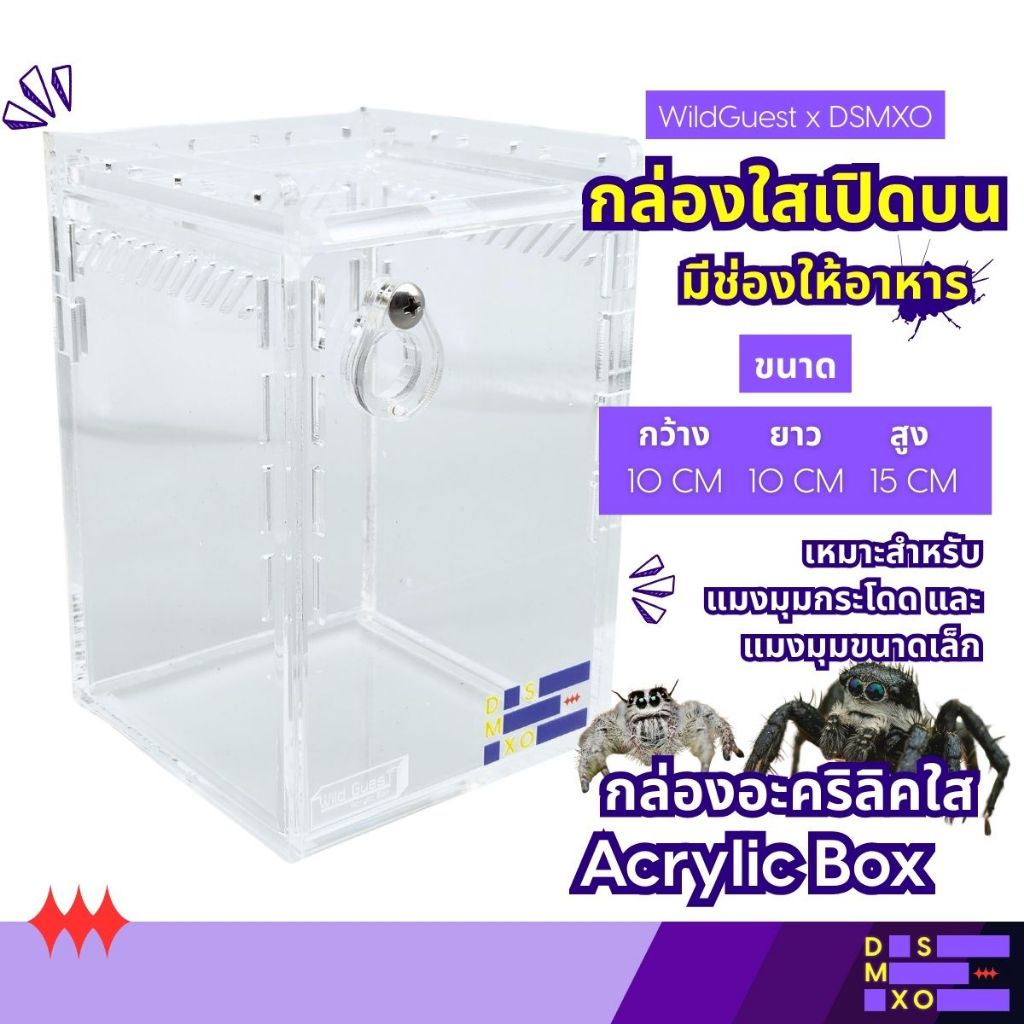 [ส่งด่วน] Wild Guest x DSMXO Acrylic Box กล่องอะคริลิคใส *เปิดบน* 10x10x15CM มีช่องใส่อาหาร ใส่แมงมุม งู ตุ๊กแก หนา 4 mm