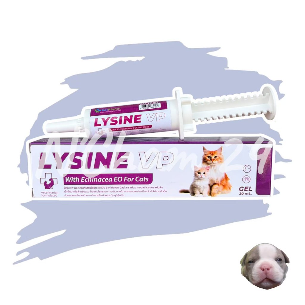 Lysine VP ขนาด 20ml อาหารเสริมสำหรับแมว แบบเจลช่วยกระตุ้นภูมิคุ้มกัน ลดการติดเชื้อไวรัสหวัดแมว