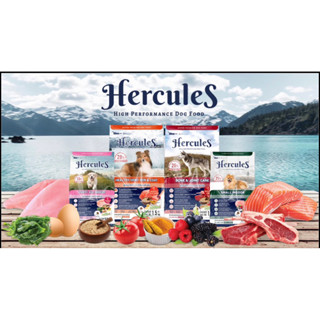 Hercules อาหารเม็ดสำหรับสุนัข 8-10กก.