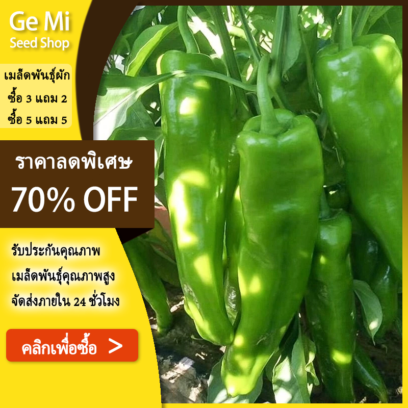 GEMI [ซื้อ 5 แถม 5 ฟรี] พริกชี้ฟ้ พริกเขาแพะ พริกยักษ์บิ๊กจิม 600 เมล็ด เมล็ดพันธุ์แท้