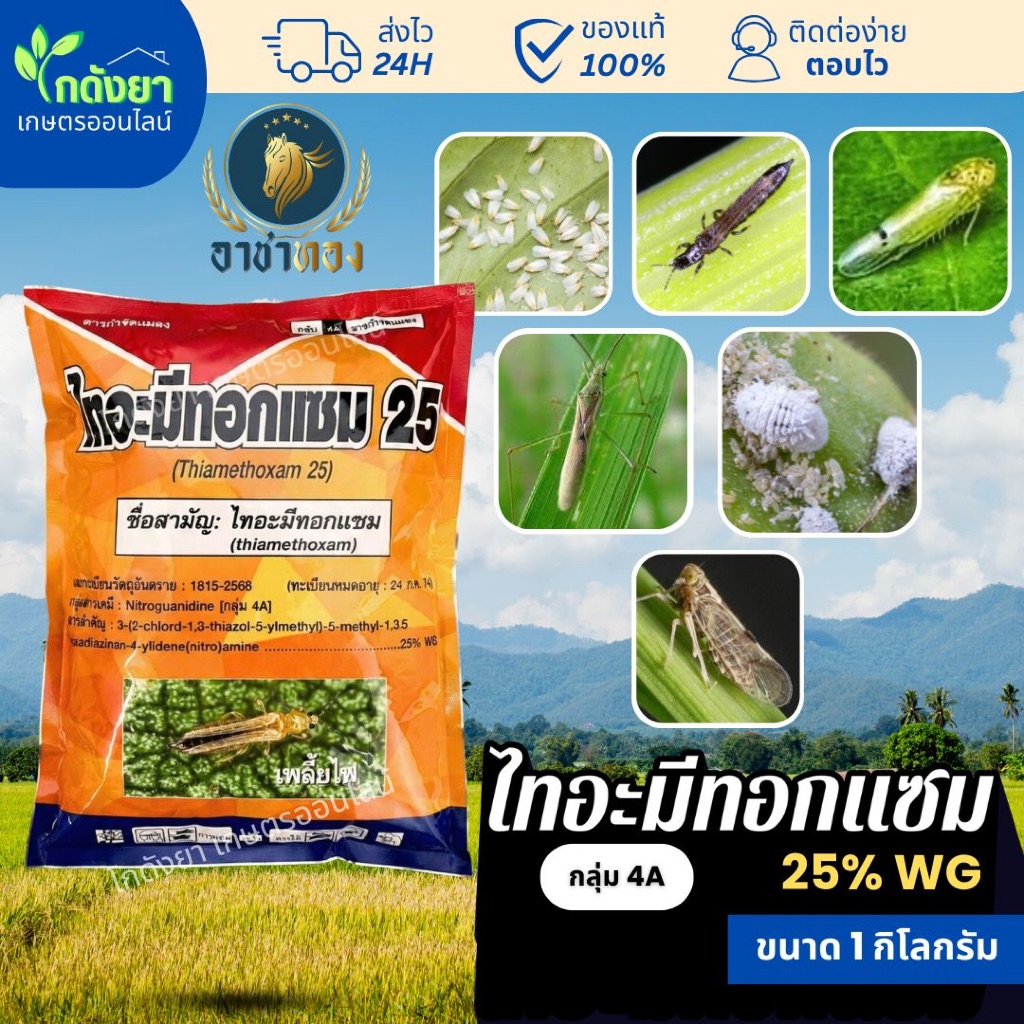 ไทอะมีทอกแซม 1kg อาชาทอง กำจัดเกลี้ยงแปลง