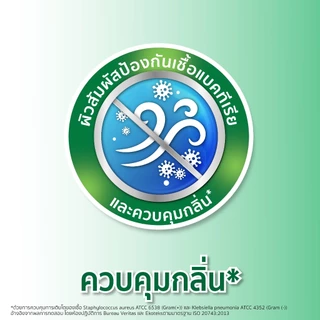 (ขายยกลัง 4 แพ็ค) Evony อีโวนี่ ผ้าอ้อมผู้ใหญ่แบบเทป ไซส์ L 24 ชิ้น x 4 แพ็ครวม 96 ชิ้น ซึมซับดี ควบคุมกลิ่น