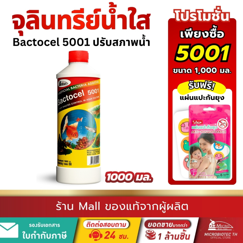 แบคโตเซล 5001 1000cc จุลินทรีย์ปรับสภาพน้ำ จุลินทรีย์บ่อปลา รักษาสภาพน้ำ แก้น้ำขุ่น ปรับน้ำใส