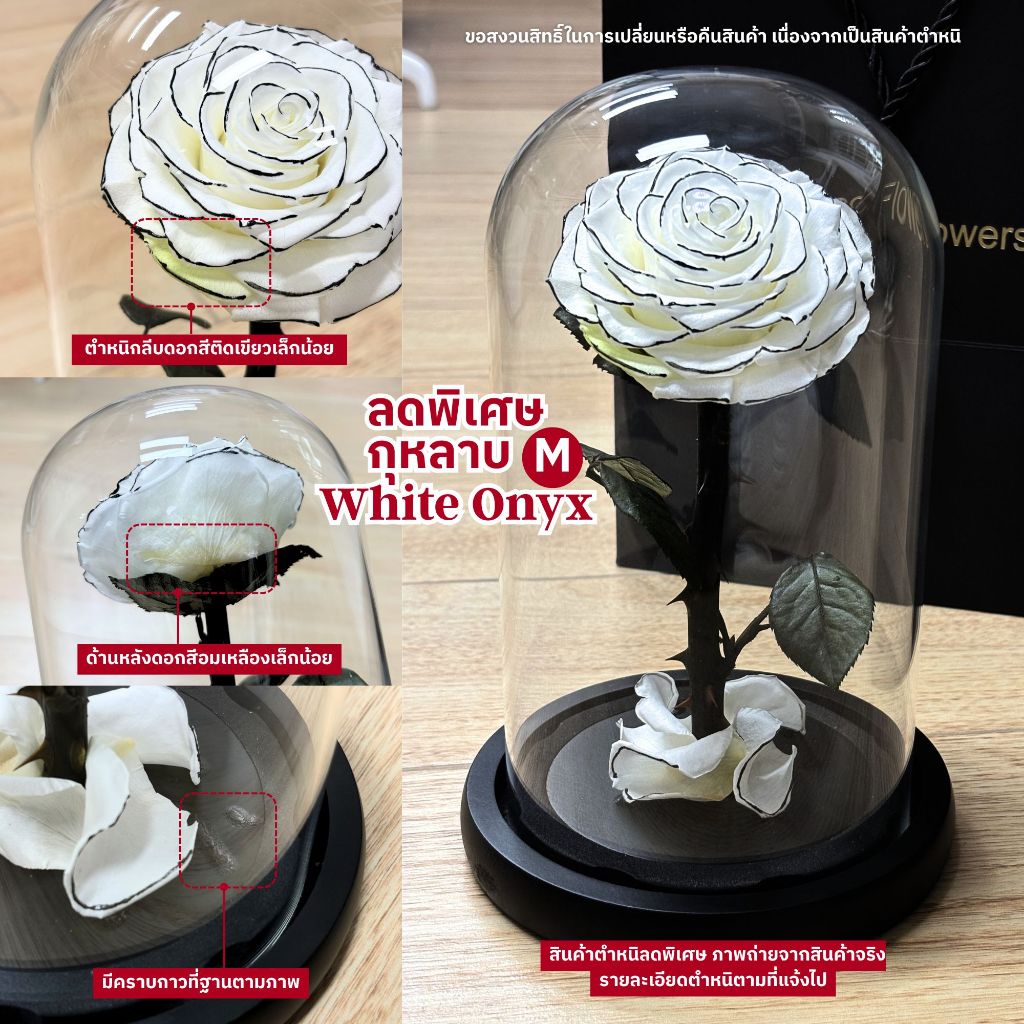 (ส่งด่วน) เคลียร์สต็อค กุหลาบอมตะในโหลแก้ว ลดพิเศษสุดๆ Preserved Rose ทำจากกุหลาบจริง ฟรี กล่องโบว์ถุง ครบเซ็ต - รูปที่ 2