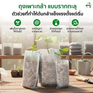 SGE ถุงเพาะกล้า วัสดุปันบอนด์ รากทะลุได้ รากไม่เน่า ย่อยสลายง่าย แพ็ค 100 ใบ มีหลายขนาดให้เลือก