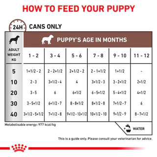 Royal Canin Gastrointestinal Puppy Dog อาหารลูกสุนัขประกอบการรักษาโรคทางเดินอาหาร ชนิดเปียกแบบกระป๋อง 195g.