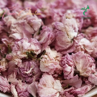 ชาดอกซากุระพรีเมี่ยม | Flower Collection | Sakura Cherry Blossom Tea ดอกเต็ม น้ำชาสีทองใส ชาดอกไม้ระดับพรีเมี่ยม