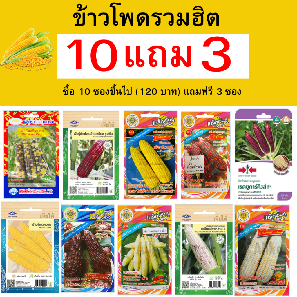 เมล็ดข้าวโพด เมล็ดข้าวโพดหวาน เมล็ดข้าวโพดข้าวเหนียว เมล็ดข้าวโพดเทียน ซื้อ 10 ซอง (120 บาท)ขึ้นไปแถมฟรี 3 ซอง