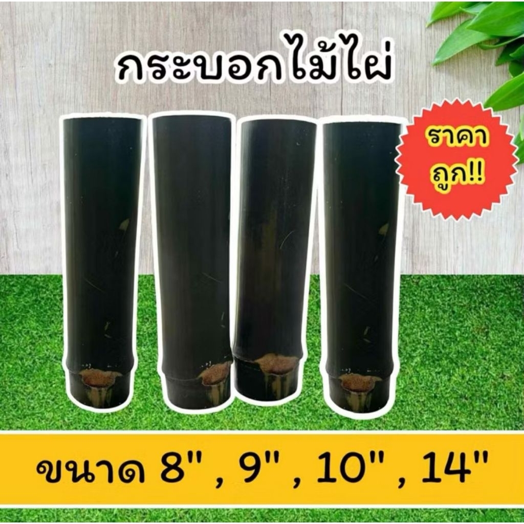 กระบอกไม้ไผ่ กระบอกไม้ไผ่ธรรมชาติ กระถาง