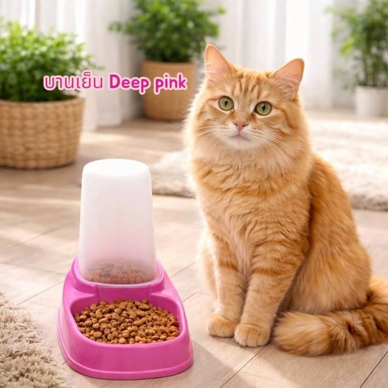 Thai.th  ที่ให้อาหารอัตโนมัติ​ ถาดอาหารสัตว์ชามข้าว ให้อาหารสัตว์เลี้ยงอัตโนมัติ (ชามข้าวสัตว์) 15558(มีราคาส่ง - รูปที่ 7