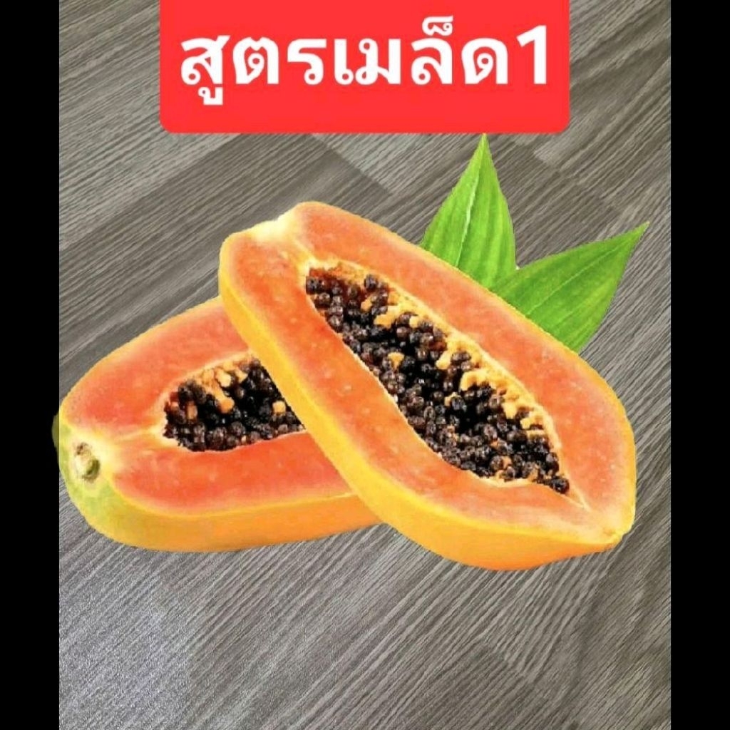 เมล็ดมะละกอ..........ตัวเดิม.........