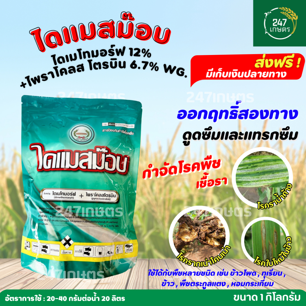 ไดแมสม๊อบ ขนาด 1 กก. ไดเมโทมอร์ฟ+ไพราโคลสโตรบิน ตราหวีทอง ป้องกันเชื้อรา โรคราน้ำค้างในข้าวโพด,โรคฟิวซาเรียมในทุเรียน