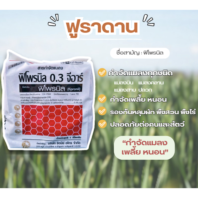 ฟูราดาน ฟิโพรนิล สารป้องกันกำจัดแมลง ปลวก เพลี้ย หนอนเจาะ