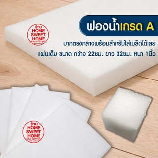 ฟองน้ำเพาะกล้า ฟองน้ำเพาะเมล็ด ฟองน้ำปลูกผัก ปลูกผักไฮโดรโปนิกส์ ปลูกผัก ไฮโดร ไฮโดรโปนิกส์ เนื้อละเอียด MAXX