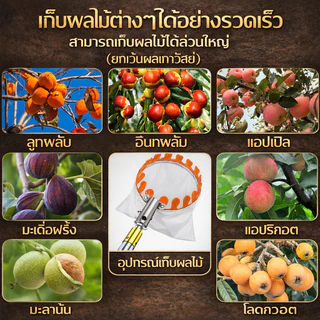 【1 เเถม 10】ไม้สอยผลไม้ ด้ามยืดหดได้ 3-10M วัสดุสแตนเลส ปลอดภัย ตะกร้อสอยผลไมั และสะดวกสบาย ทีเก็บผลไม้ ตะกร้อสอยมะม่วง