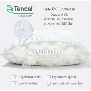 CoCoono Toddler Pillow: หมอนใยขนห่านเทียม หมอนโคซี่ สำหรับเด็ก 1 ขวบขึ้นไป