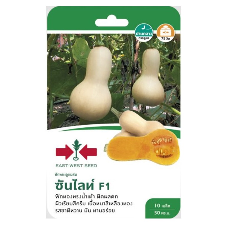 5 แถม 1 เมล็์ดพันธ์ ฟักทองลูกผสม ซัลไลทท์ F1 ตราศรแดง