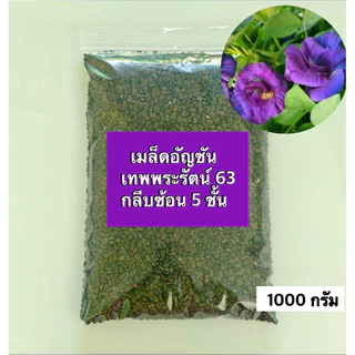 💥สินค้าขายดี💥เมล็ดพันธุ์อัญชันเทพพระรัตน์63 กลีบซ้อน (ขนาด 50-500 เมล็ด) Butterfly pea flowers,蝶豆種子 สินค้าใหม่
