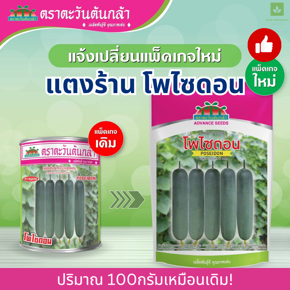 แตงร้านโพไซดอน เมล็ดพันธุ์แตงร้าน โพไซดอน 100กรัม