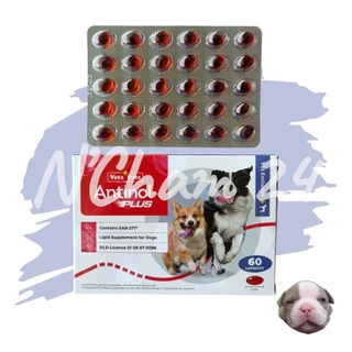 Antinol DOG 60 แคปซูล(หมดอายุ8/2028)แพ็คเกจใหม่ อาหารเสริมบำรุงข้อ ข้ออักเสบ 1 กล่องบรรจุ 60 เม็ด