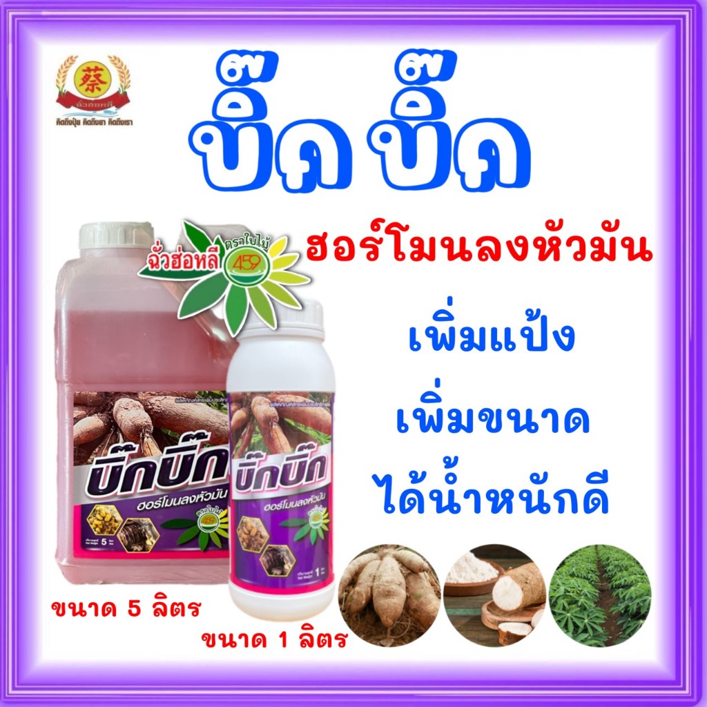 บิ๊กบิ๊กฮอร์โมนเร่งลงหัว หัวดก หัวใหญ่ แป้งดี