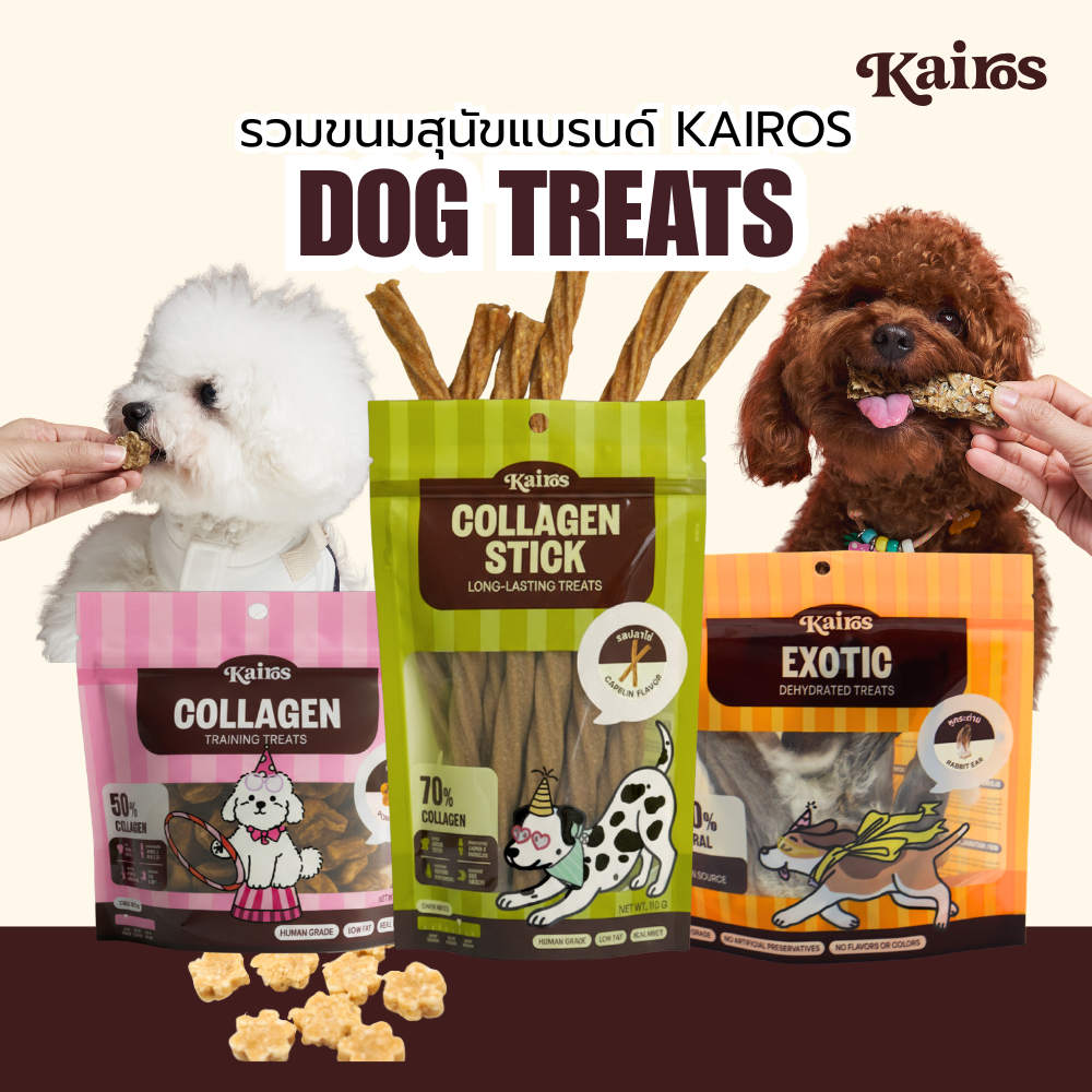 รวมขนมสุนัขแบรนด์ KAIROS ขนมขัดฟัน ขนมหมา ขนมฝึกสุนัข สัตว์อบแห้ง มาตรฐานส่งออก